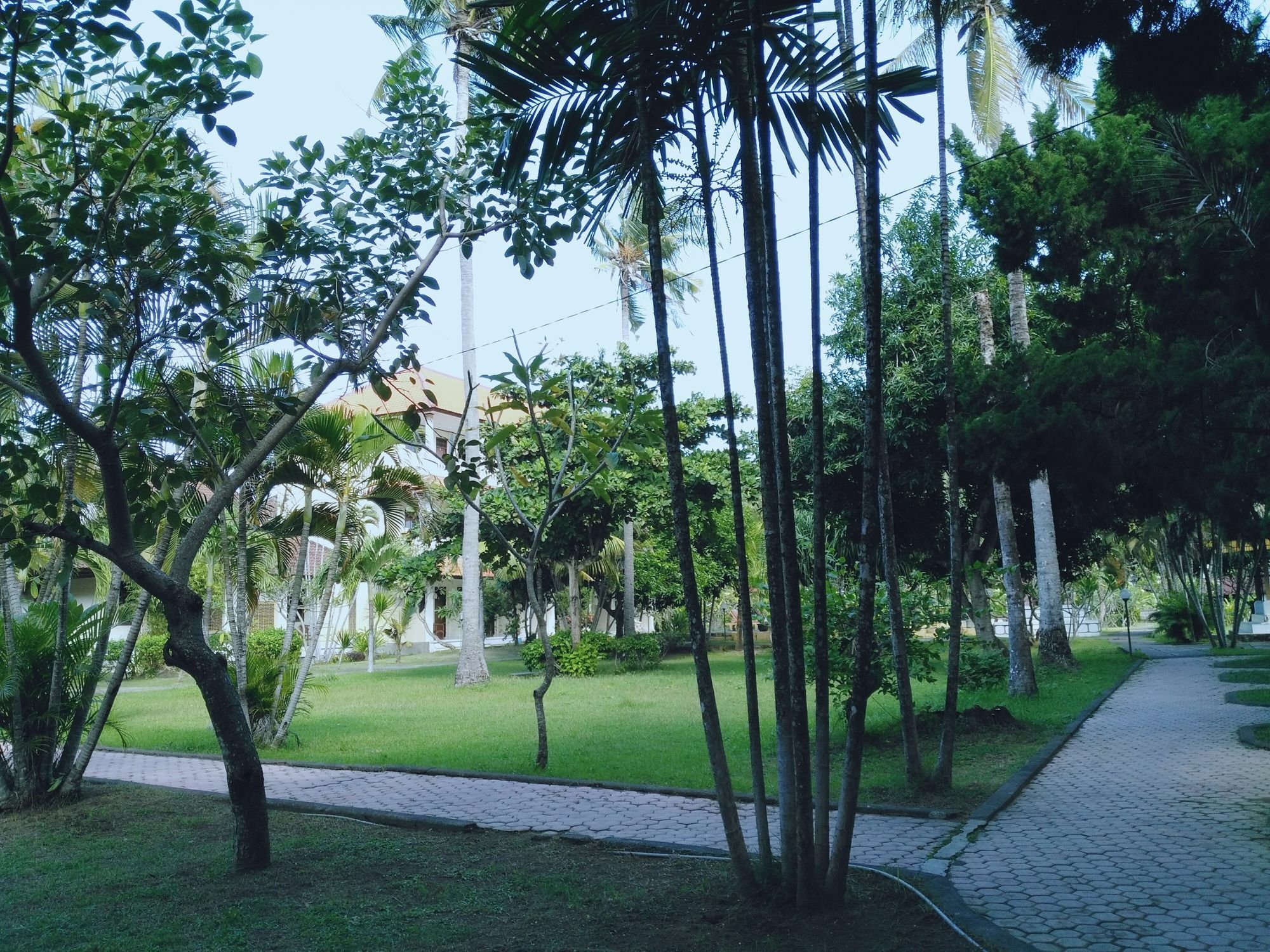 Mekar Jaya Bungalows Kuta Lombok Exteriér fotografie