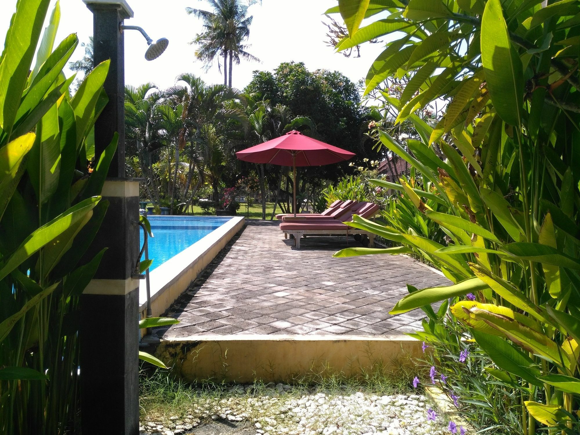 Mekar Jaya Bungalows Kuta Lombok Exteriér fotografie